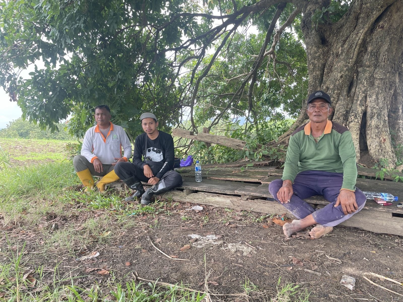 wmremove-transformed17