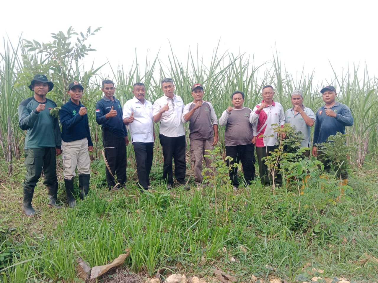 WhatsApp-Image-2025-12-01-at-14.54.02