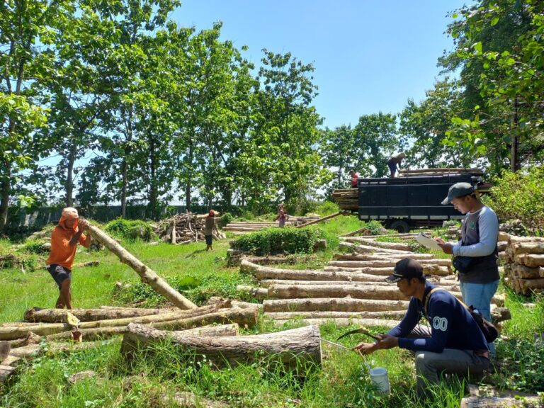 WhatsApp-Image-2025-12-05-at-10.59.25-2