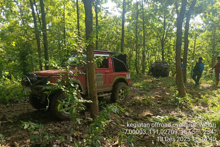 WhatsApp-Image-2025-12-13-at-16.59.051