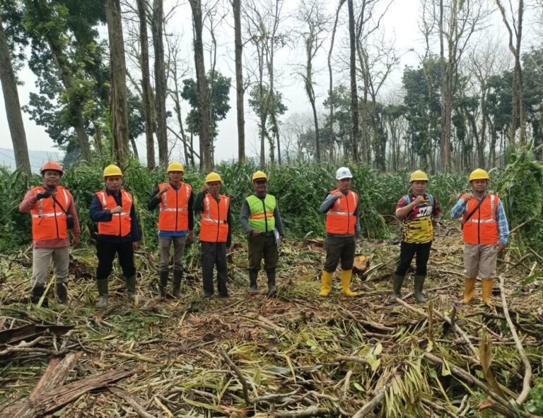 wmremove-transformed10