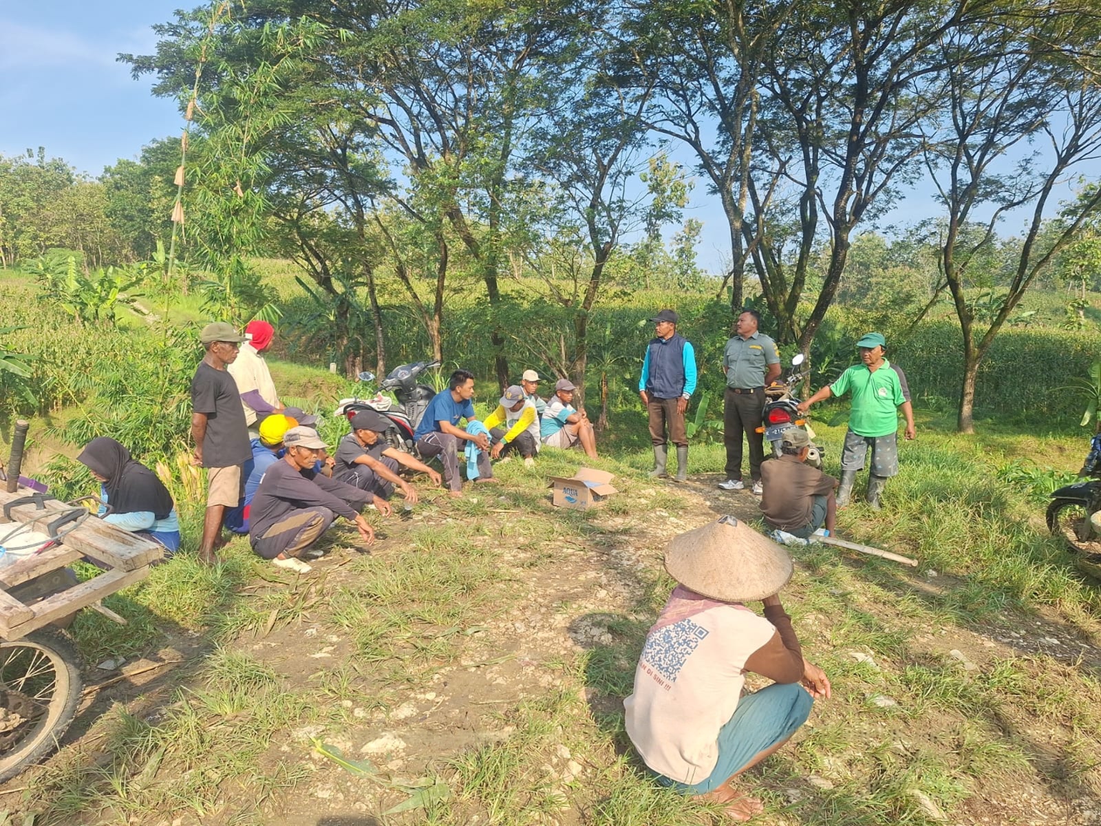 wmremove-transformed