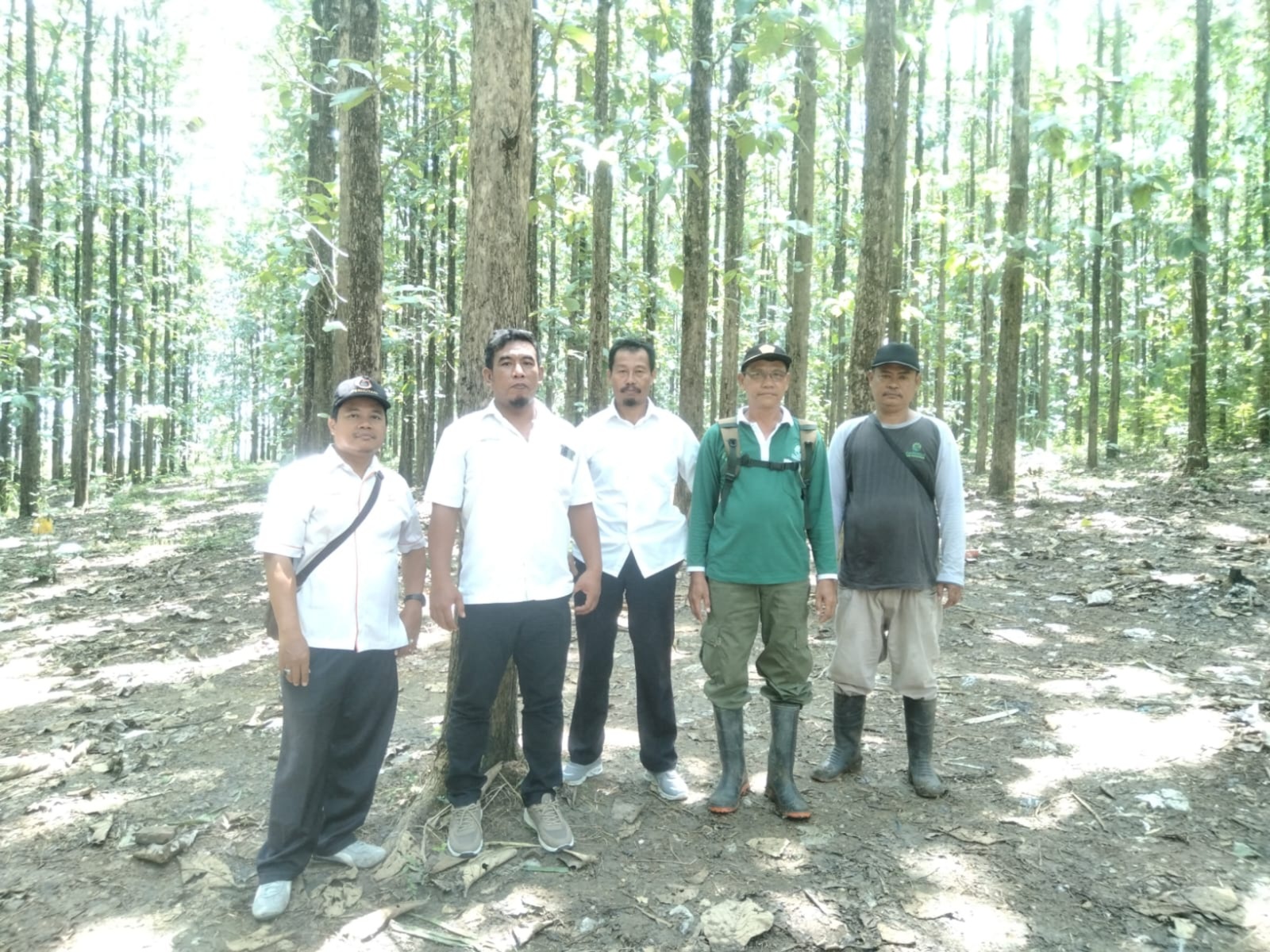 wmremove-transformed1